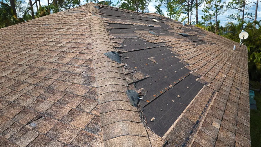 roof repair services